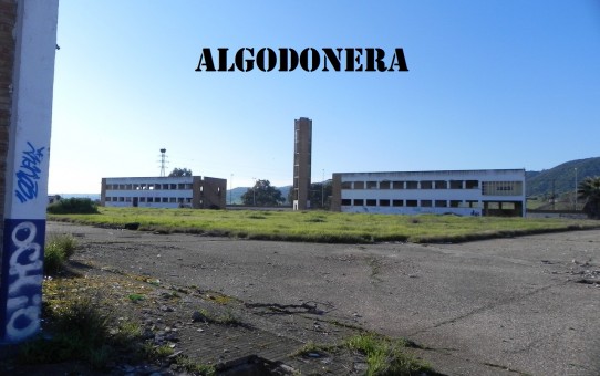 Algodonera