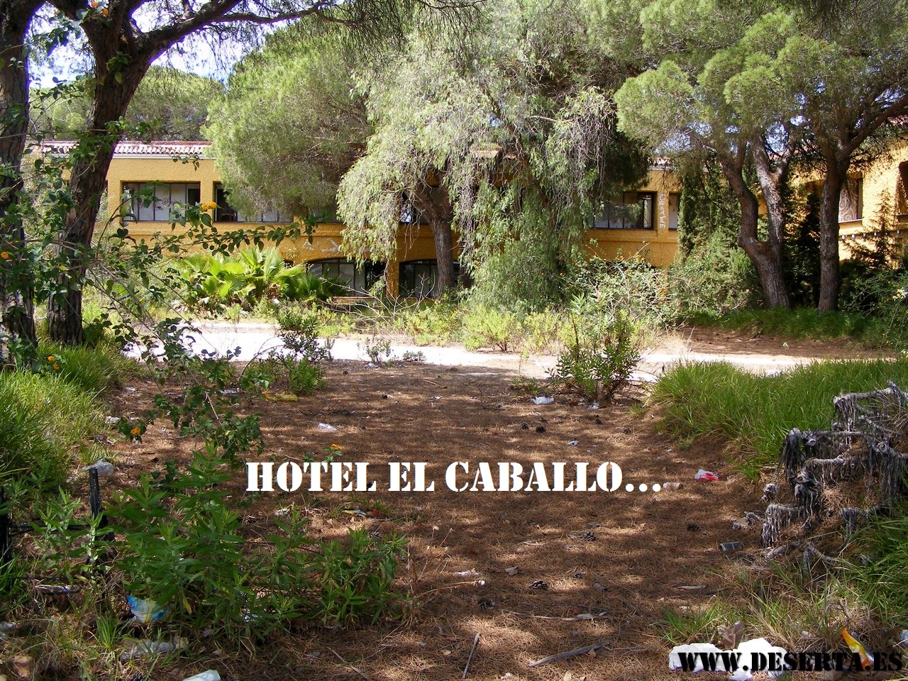 Hotel El Caballo